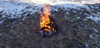 20201128_150347.jpg