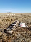 20201214_110609.jpg