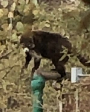 20201223_171732.jpg