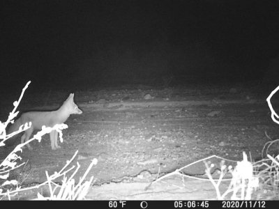 image1.jpg