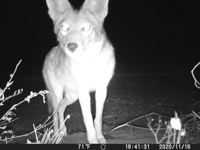 image3.jpg