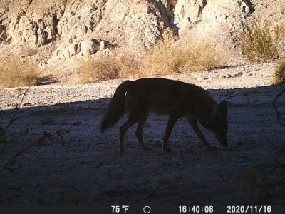 image6.jpg