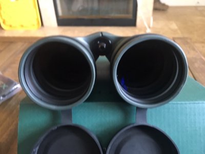 image4.jpeg