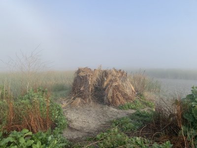 IMG-4211.jpg