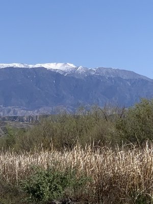 IMG-4225.jpg