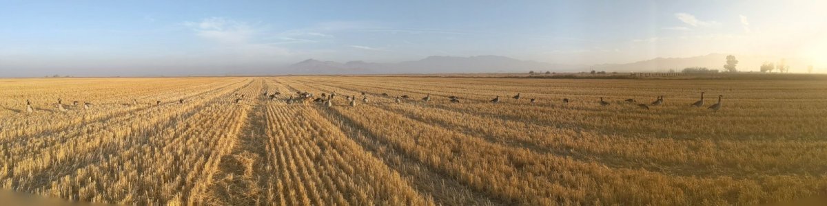 PANO_20191115_065830.vr.jpg