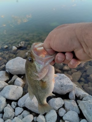 IMG_20210705_062911.jpg
