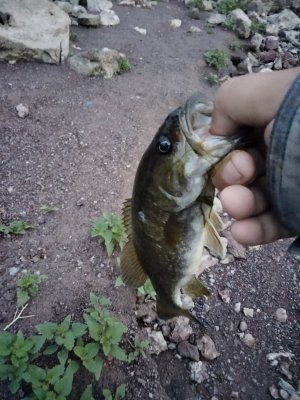 IMG_20210730_062751.jpg