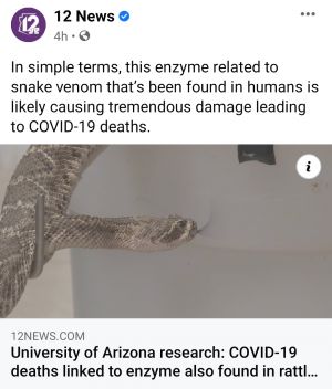 Screenshot_20210905-230936~2.png