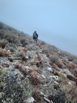 Resized_20211020_080257.jpg