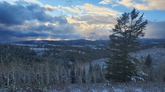 20211027_174449.jpg