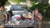 dove opener 9-1-11 039.JPG