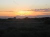 dove opener 9-1-11 010.JPG