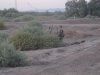 dove opener 9-1-11 009.JPG