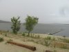 IMG_8317.JPG