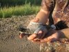 dove opener 9-1-11 022.JPG