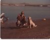 sd bay 1978[1].jpg