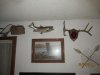 IMG_8420.JPG