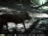PICT0112.JPG