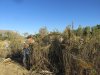 IMG_8580.JPG