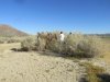 IMG_8583.JPG