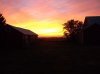 DSCF0230.JPG