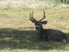 IMG_8697.JPG