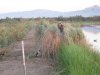 wister opener 2011 020.JPG