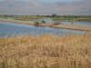 wister opener 2011 024.JPG