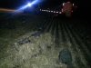 20141011_064101.jpg