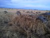20141011_072811.jpg