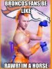 Bronco.jpg