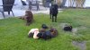 20140407_181102_Android.jpg