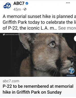 Screenshot_20221218-150806.png