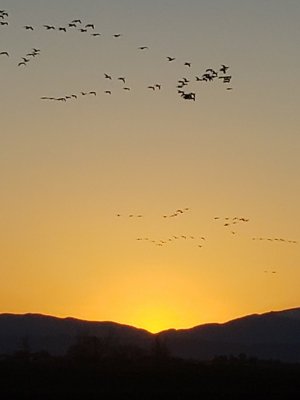 20230126_171622.jpg