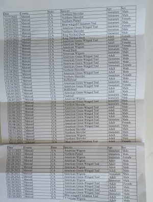 20230627_132722.jpg