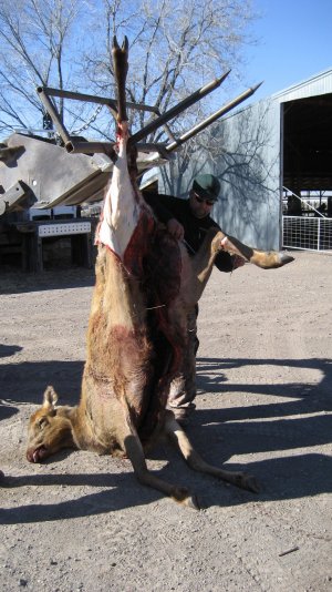 IMG_0135.JPG