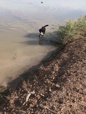 IMG_1827.jpeg