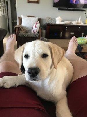 IMG_2001.jpeg