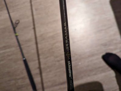 terramarShimano.jpg