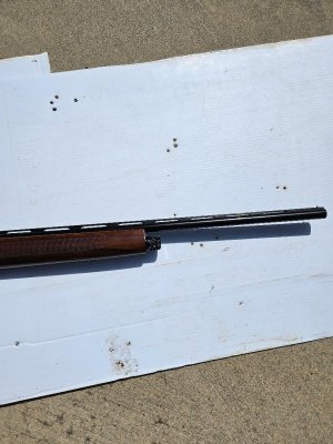 SA-08 1.jpg