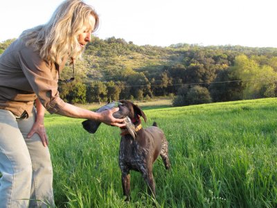 kennel web site pictures 168.jpg