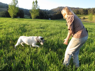kennel web site pictures 159.jpg