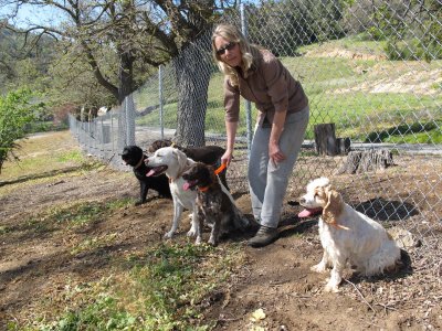 kennel web site pictures 094.jpg