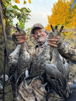 canada 8 pintail '24.JPG
