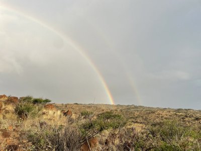 IMG_2060.jpeg