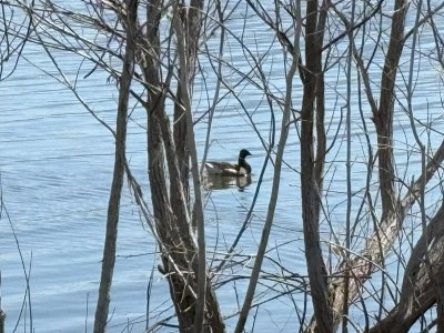 IMG_9444.jpg