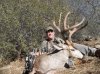 BBD # 11 2014.jpg