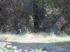 IMG_9579.JPG