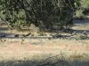 IMG_9747.JPG